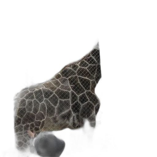 animal, creature, umbrella, hat transparent PNG cut-out