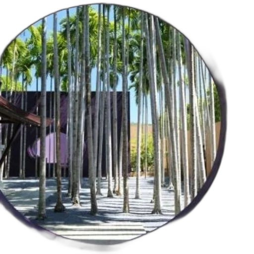 staff, tree, umbrella, 3d render transparent PNG cut-out