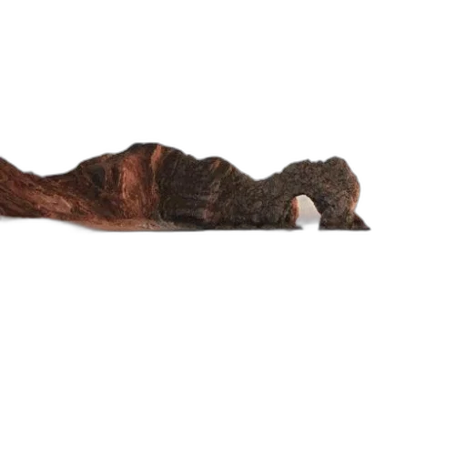 hair, staff, animal, furniture transparent PNG cut-out