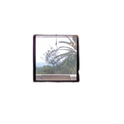 tree, umbrella, furniture, building transparent PNG cut-out