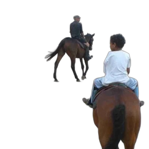 animal, creature, concept art, 3d render transparent PNG cut-out