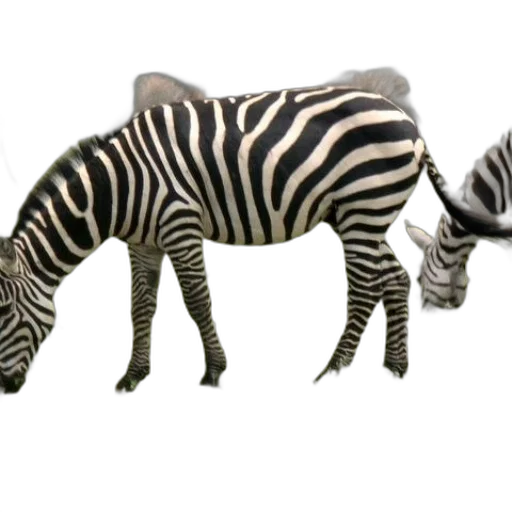animal, creature, furniture, 3d render transparent PNG cut-out