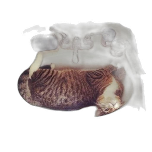 animal, hat, crown, mask transparent PNG cut-out