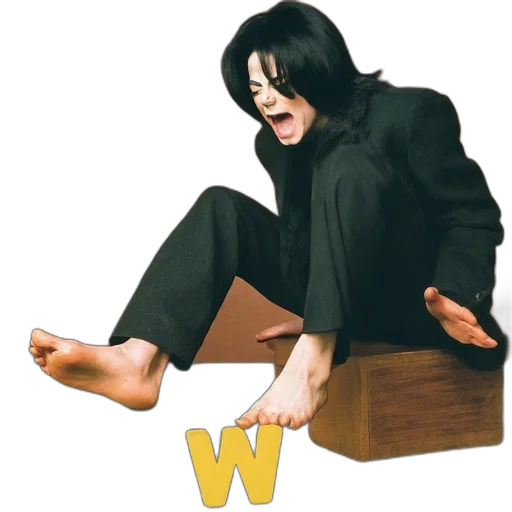 shoes, furniture, creature, animal transparent PNG cut-out