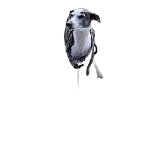 animal, staff, robot, umbrella transparent PNG cut-out