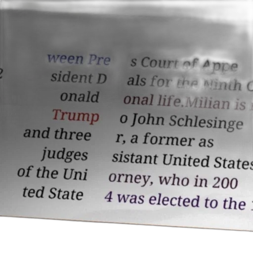 document, text, about, court transparent PNG cut-out