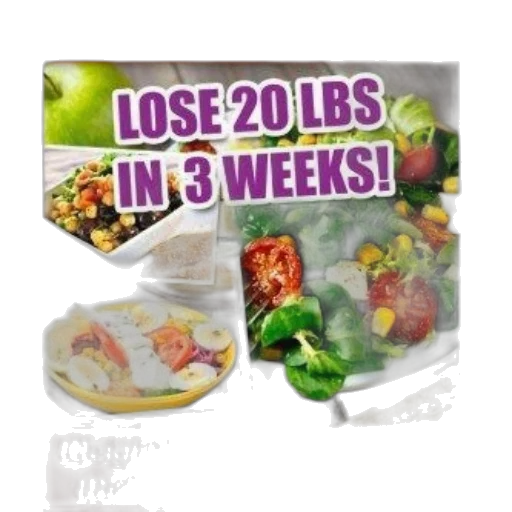 weight, watchers, cookbook, cover transparent PNG cut-out