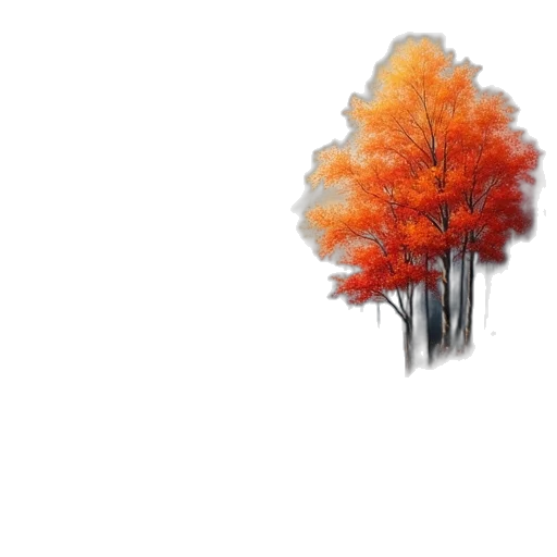 tree, umbrella, crown, jacket transparent PNG cut-out
