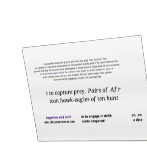 furniture, jacket, concept art, text-based transparent PNG cut-out