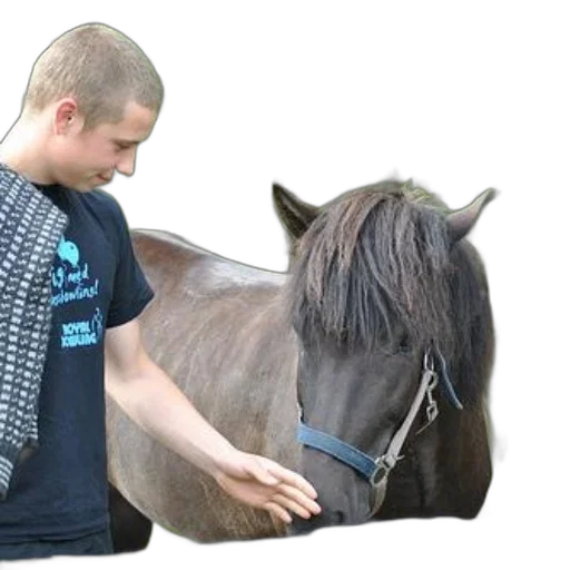 animal, creature, staff, hair transparent PNG cut-out
