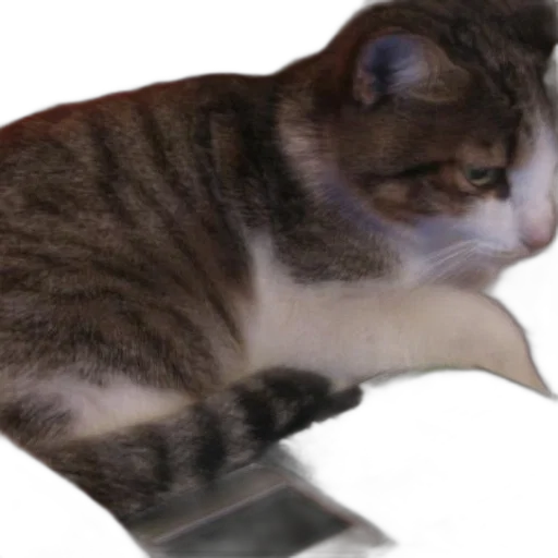 staff, animal, weapon, creature transparent PNG cut-out