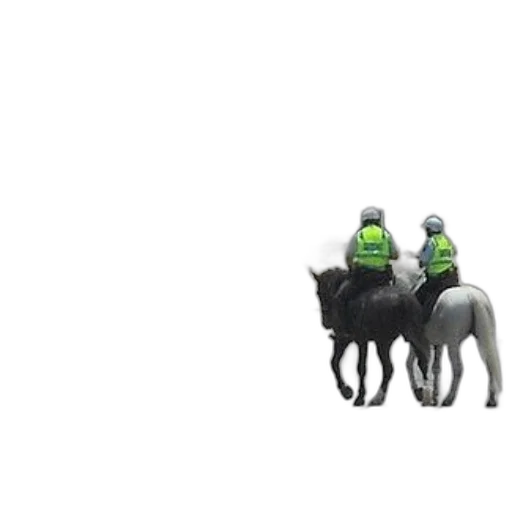 hat, animal, staff, crown transparent PNG cut-out