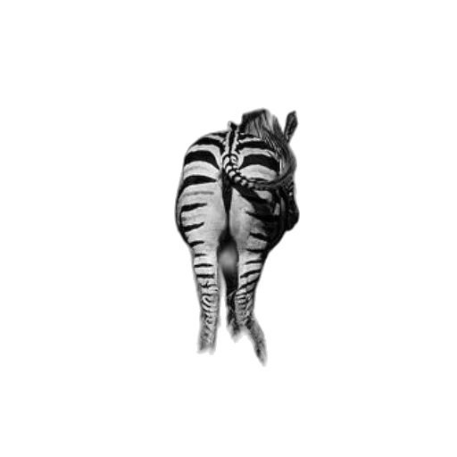 animal, creature, shoes, mask transparent PNG cut-out