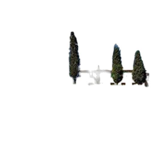weapon, tree, sword, robot transparent PNG cut-out