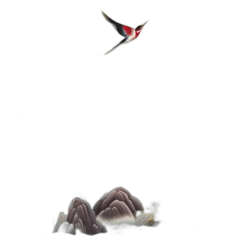 animal, creature, shoes, hair transparent PNG cut-out
