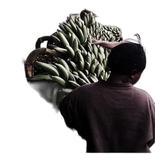 food, staff, jacket, weapon transparent PNG cut-out