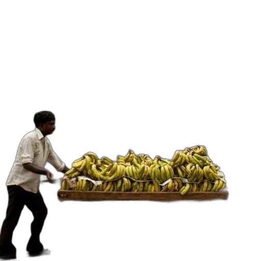 food, staff, shoes, furniture transparent PNG cut-out