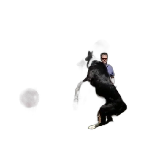 creature, animal, staff, weapon transparent PNG cut-out