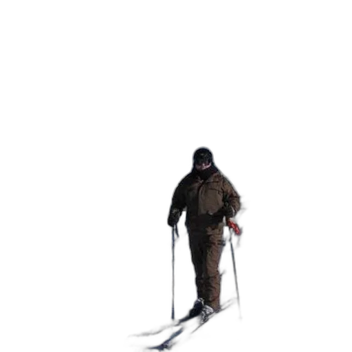 staff, creature, sword, animal transparent PNG cut-out