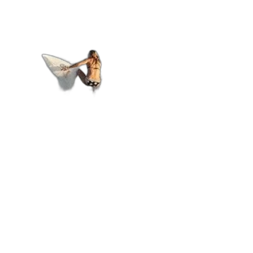 animal, shoes, creature, jewelry transparent PNG cut-out