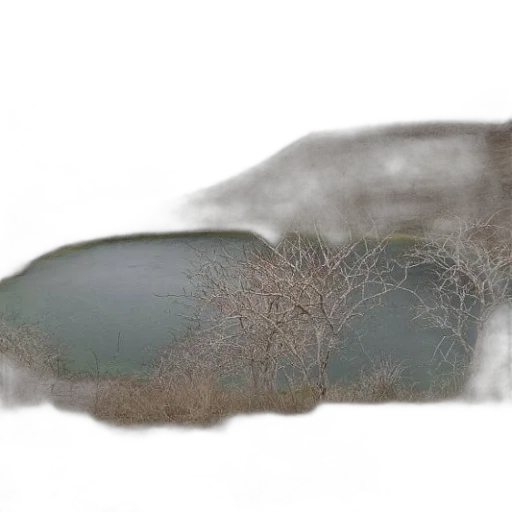 tree, hair, car, shoes transparent PNG cut-out