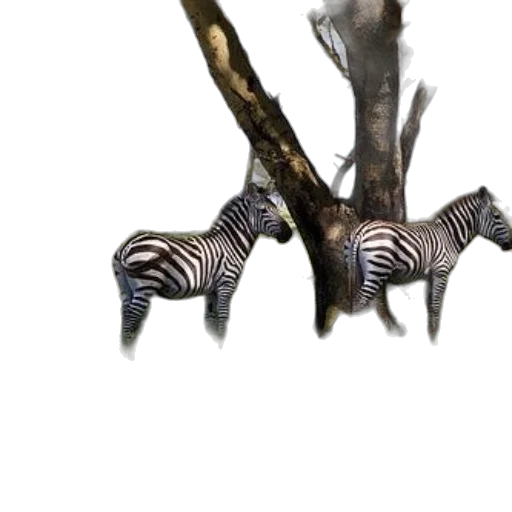 animal, creature, dragon, staff transparent PNG cut-out