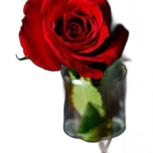 flower, bottle, jewelry, staff transparent PNG cut-out
