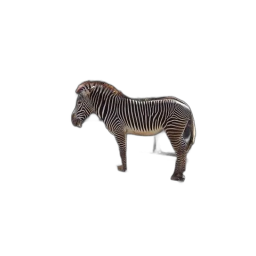 animal, creature, furniture, robot transparent PNG cut-out