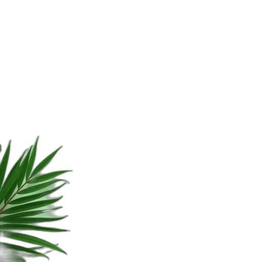 tree, hair, crown, 3d render transparent PNG cut-out