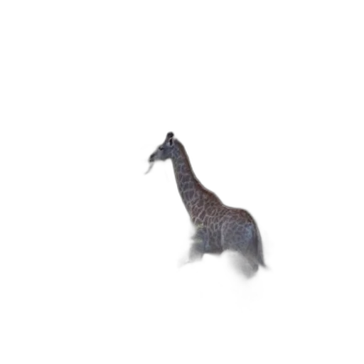 animal, creature, dragon, hat transparent PNG cut-out