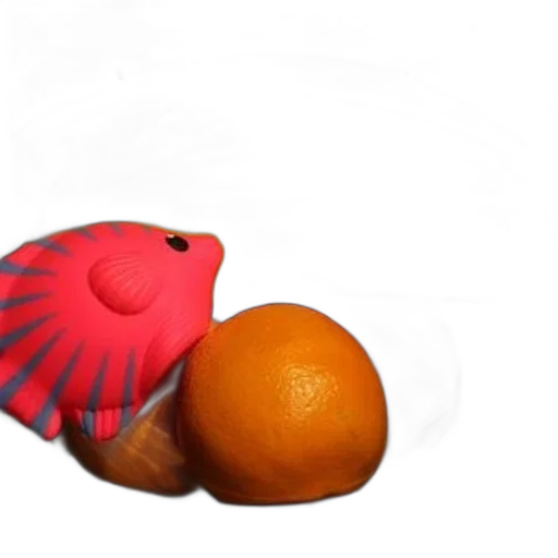 food, animal, hat, creature transparent PNG cut-out
