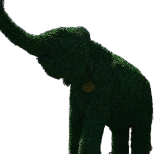 animal, creature, staff, hat transparent PNG cut-out