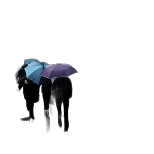 umbrella, hat, jacket, dress transparent PNG cut-out