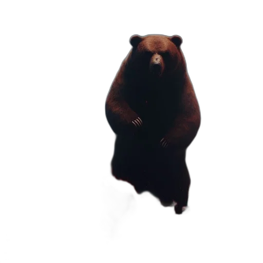 animal, creature, jacket, mask transparent PNG cut-out