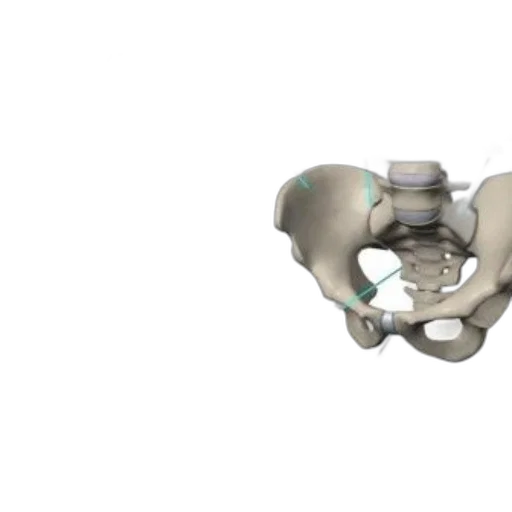 jewelry, robot, 3d render, educational transparent PNG cut-out