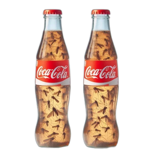 bottle, food, animal, crown transparent PNG cut-out