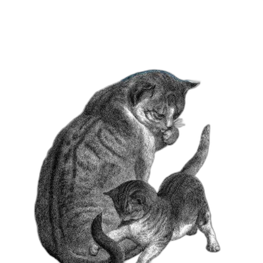 animal, staff, creature, face transparent PNG cut-out