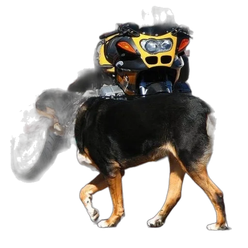 robot, animal, creature, mask transparent PNG cut-out