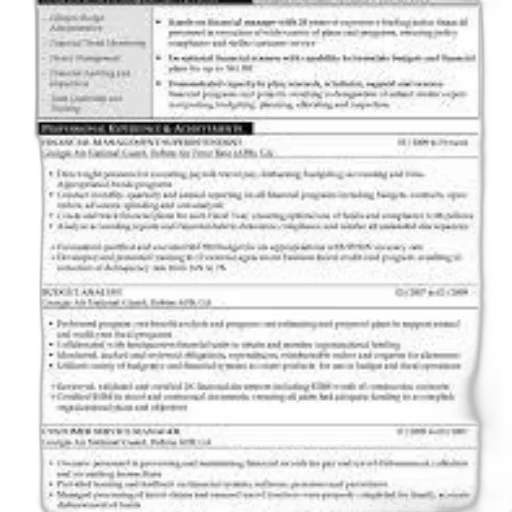 resume, sections, professional, experience transparent PNG cut-out