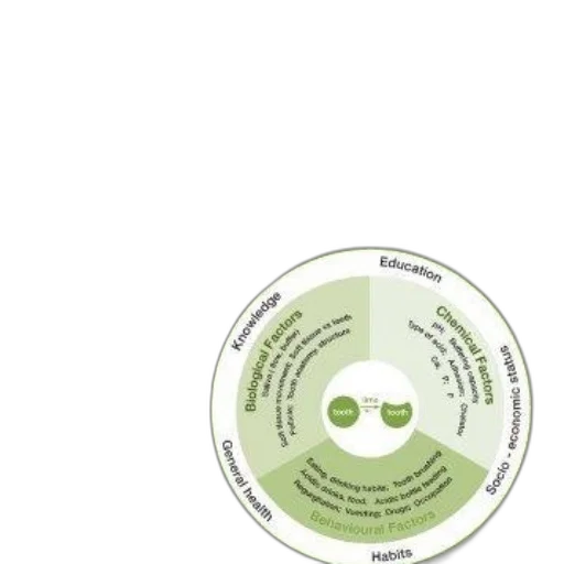 earth tones, green, cover, dental transparent PNG cut-out