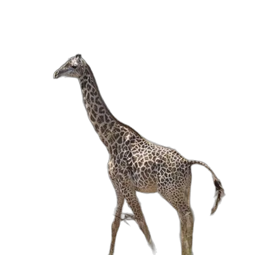 animal, creature, staff, jewelry transparent PNG cut-out