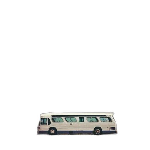 car, animal, staff, shoes transparent PNG cut-out