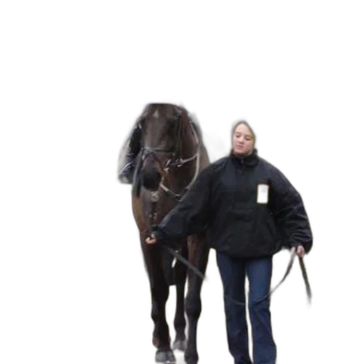 staff, animal, jacket, jockey transparent PNG cut-out