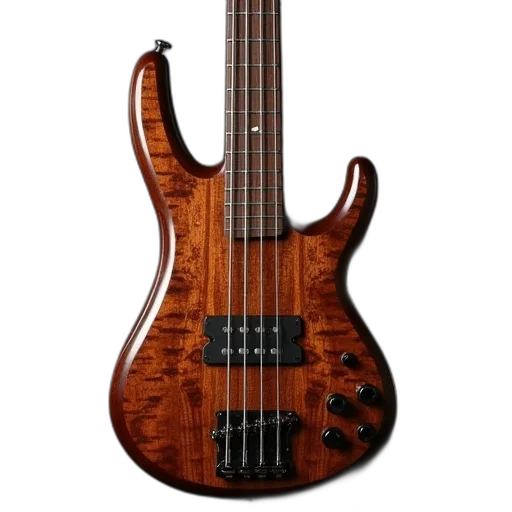 dragon, string, bass, guitar transparent PNG cut-out