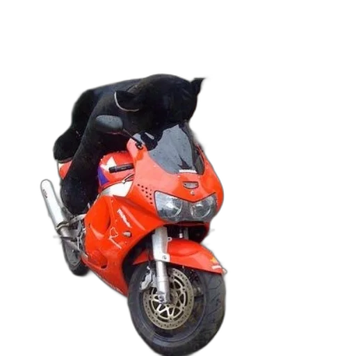 animal, jacket, mask, weapon transparent PNG cut-out