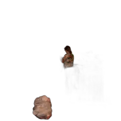 creature, animal, face, shoes transparent PNG cut-out