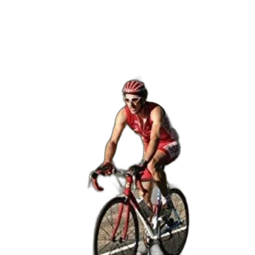 animal, 3d render, photorealistic, pixel art transparent PNG cut-out