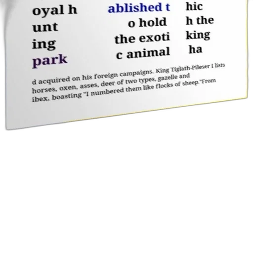 animal, creature, jewelry, text transparent PNG cut-out