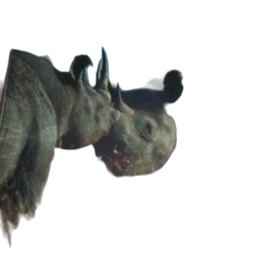 dragon, animal, creature, staff transparent PNG cut-out