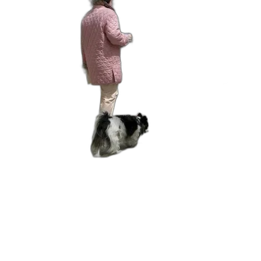 animal, dress, creature, shoes transparent PNG cut-out